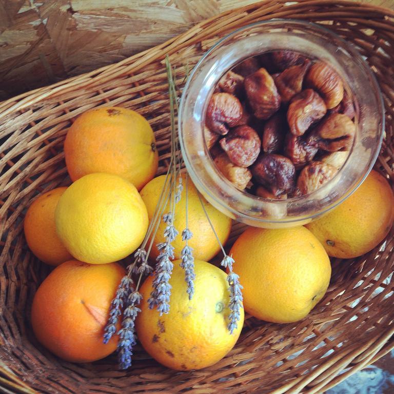 Al-Gharb Tavira Eco Guesthouse 외부 사진