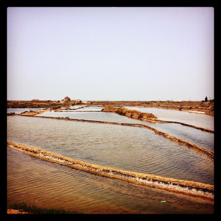 Al-Gharb Tavira Eco Guesthouse 외부 사진